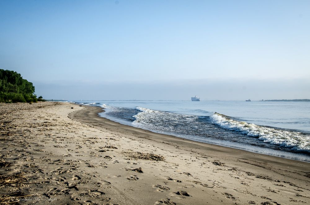 Am frühen Morgen an der Elbe