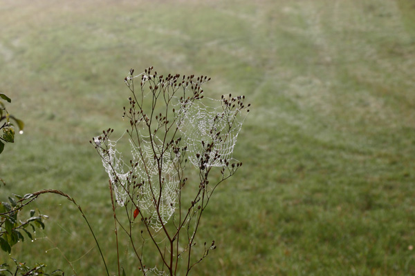 Am frühen Morgen an der Küste