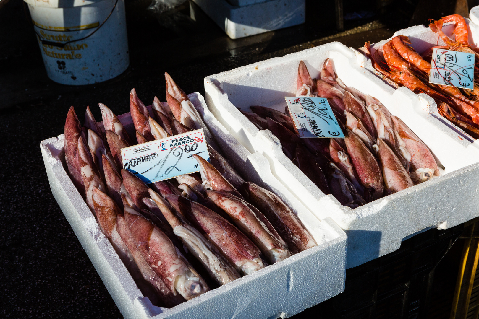 Am frühen Morgen auf dem Fischmarkt...