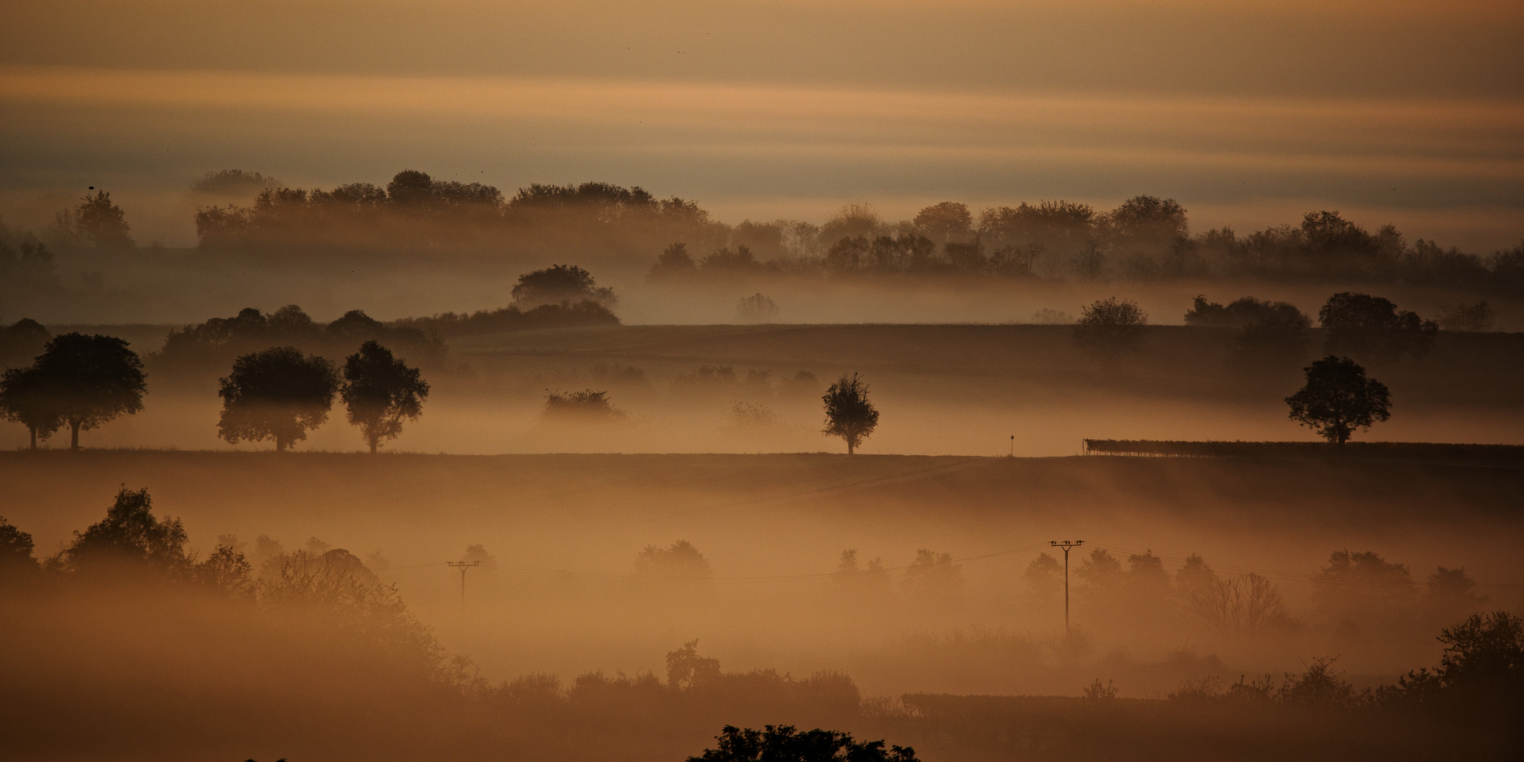 Am frühen Morgen bei Nebel