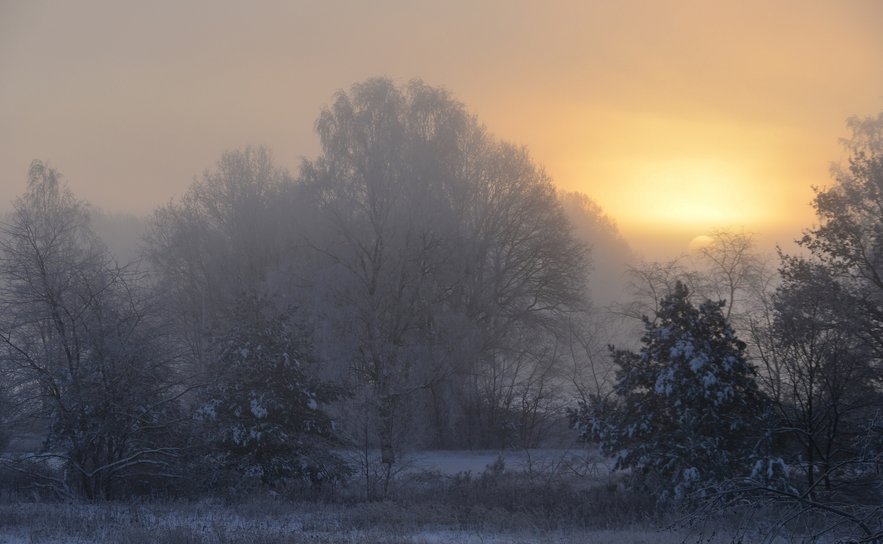 °Am frühen Morgen°