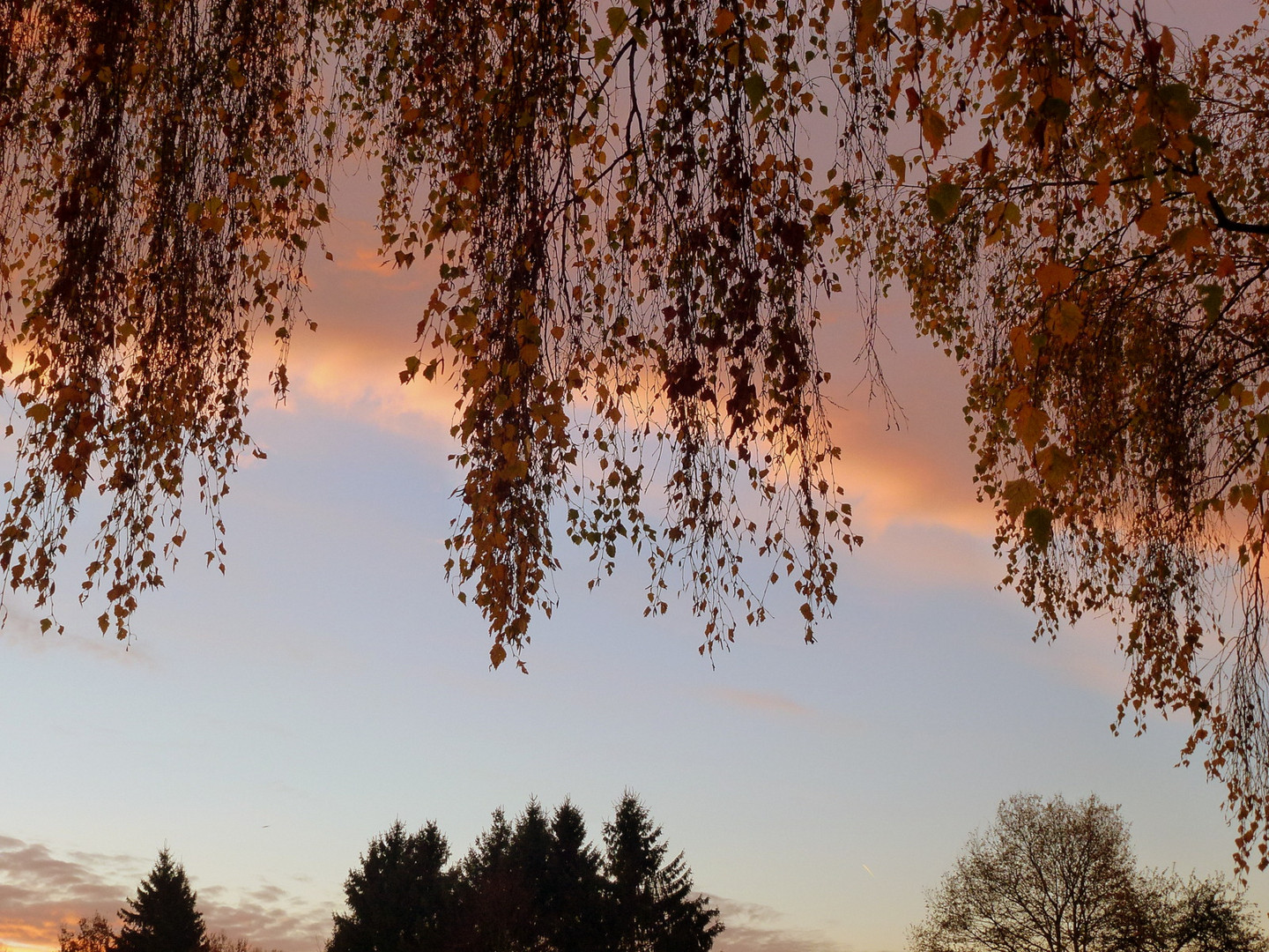 -Am frühen Morgen...