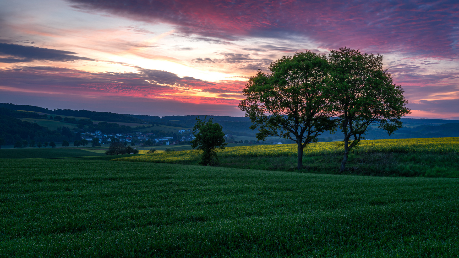 Am frühen Morgen