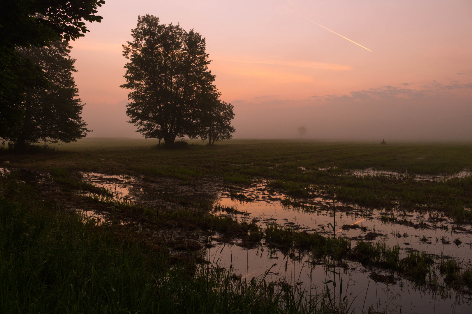 Am frühen Morgen