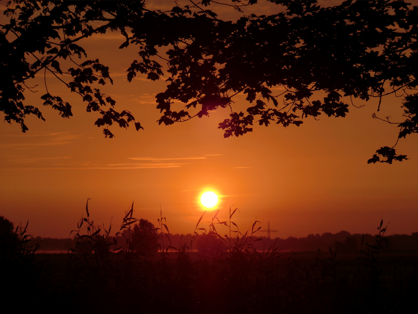 Am frühen Morgen II