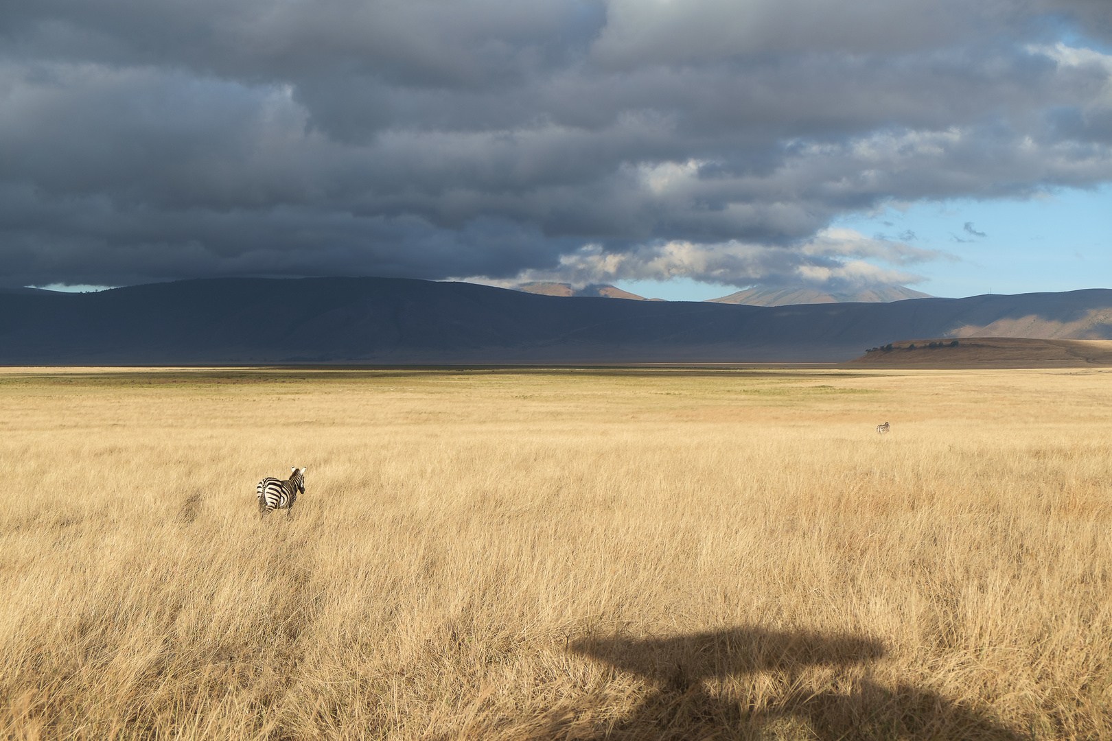 Am frühen morgen im Ngorongoro Crater, Tanzania