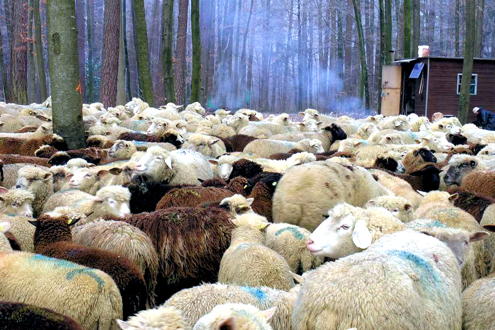 Am frühen Morgen in der Kälte Aufbruch