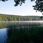 Am frühen Morgen ist der See noch ruhig