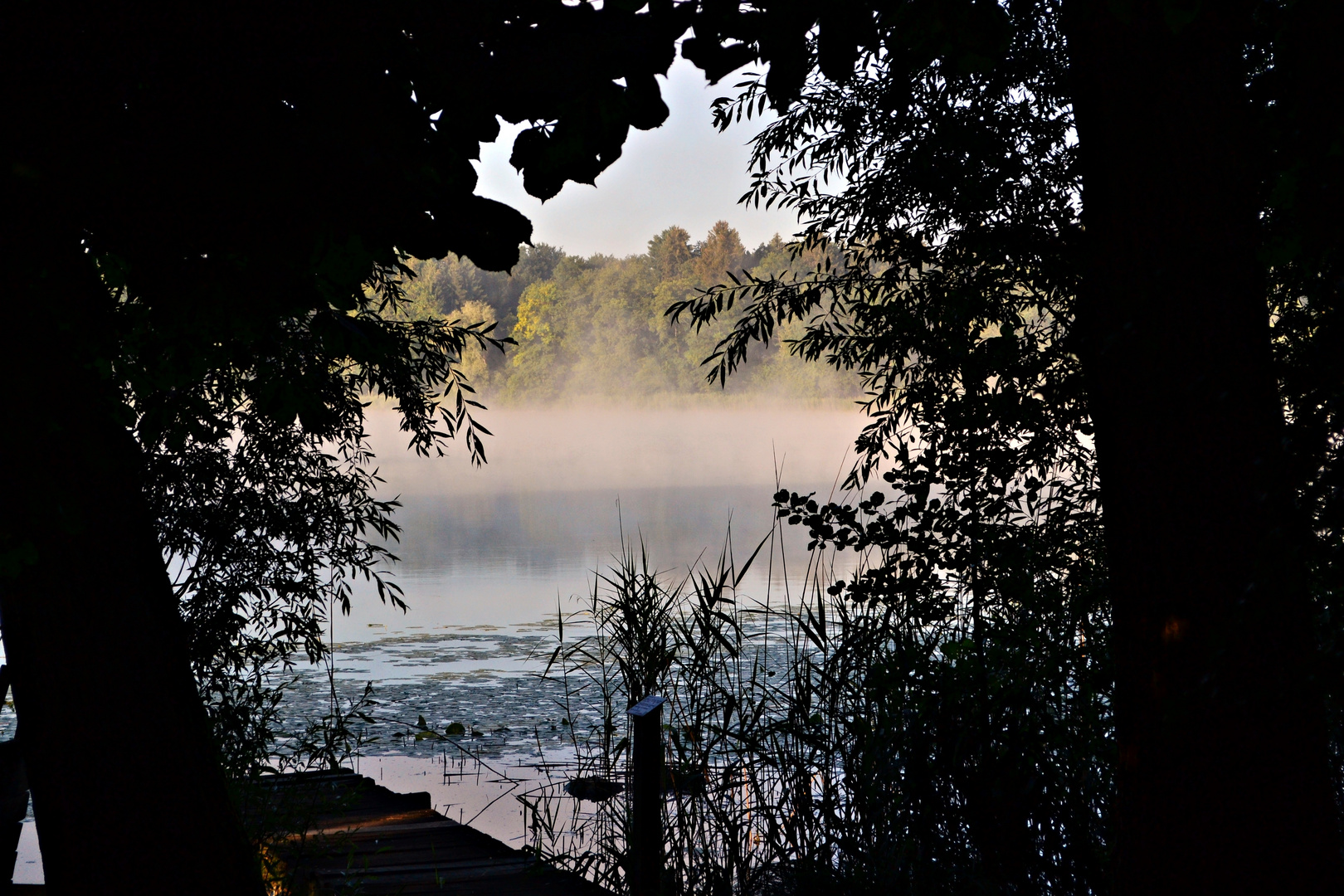 Am frühen Morgen ist es am schönstem.