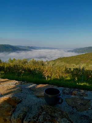 Am frühen Morgen Nebel über den Hügeln