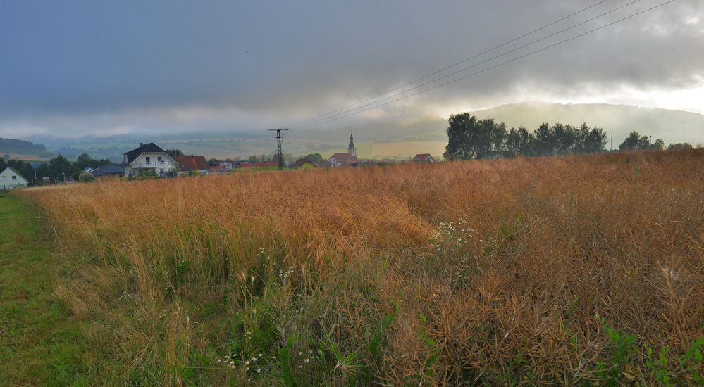 am frühen Morgen (temprano por la mañana)