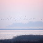 Am frühen Morgen über dem Bodden