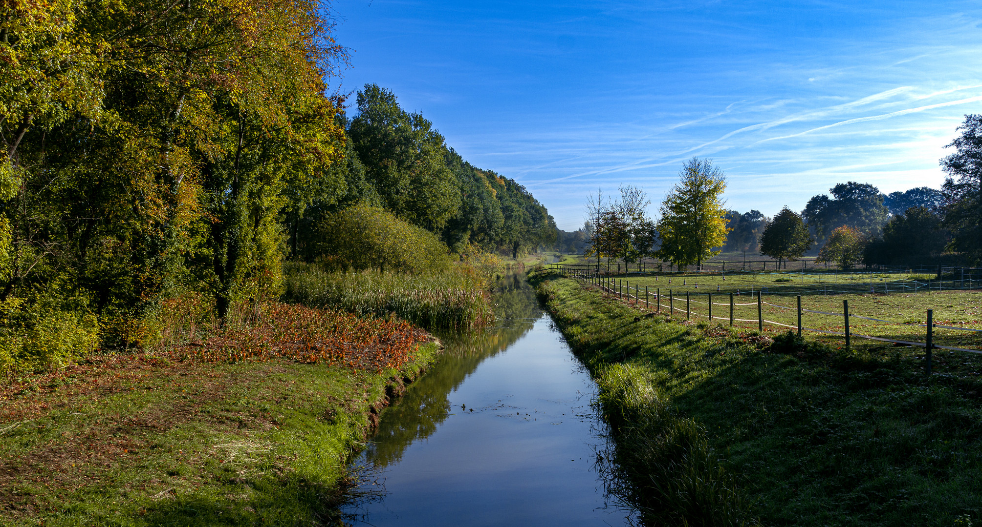 Am frühenmorgen in Schönemoor 