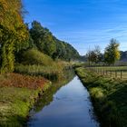 Am frühenmorgen in Schönemoor 