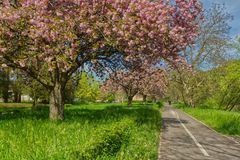 Am Frühlingsradweg