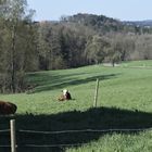 am Frühlinsweg der LandFrauen in Bühlerzell 2022