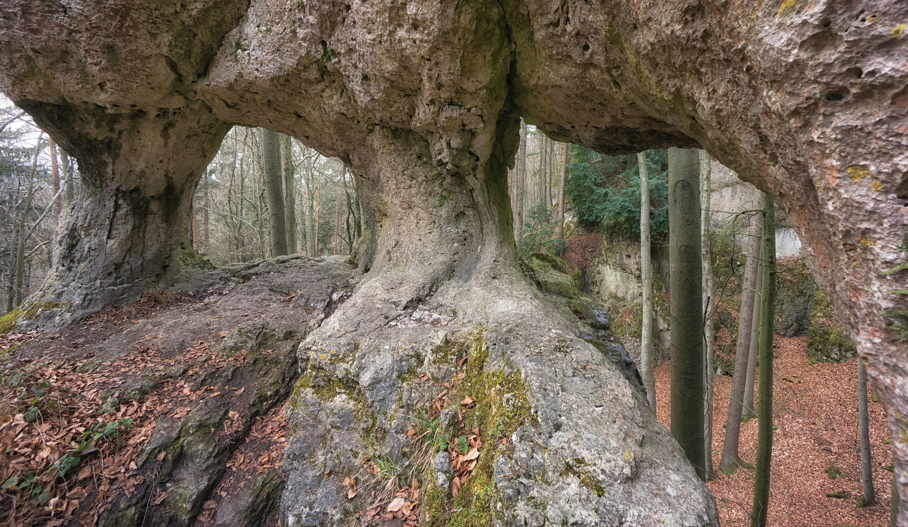 Am Fuchssteig