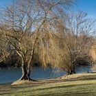 Am Fühlinger See