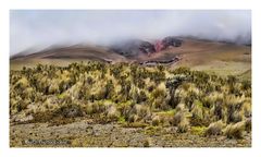 Am Füße des Cotopaxi