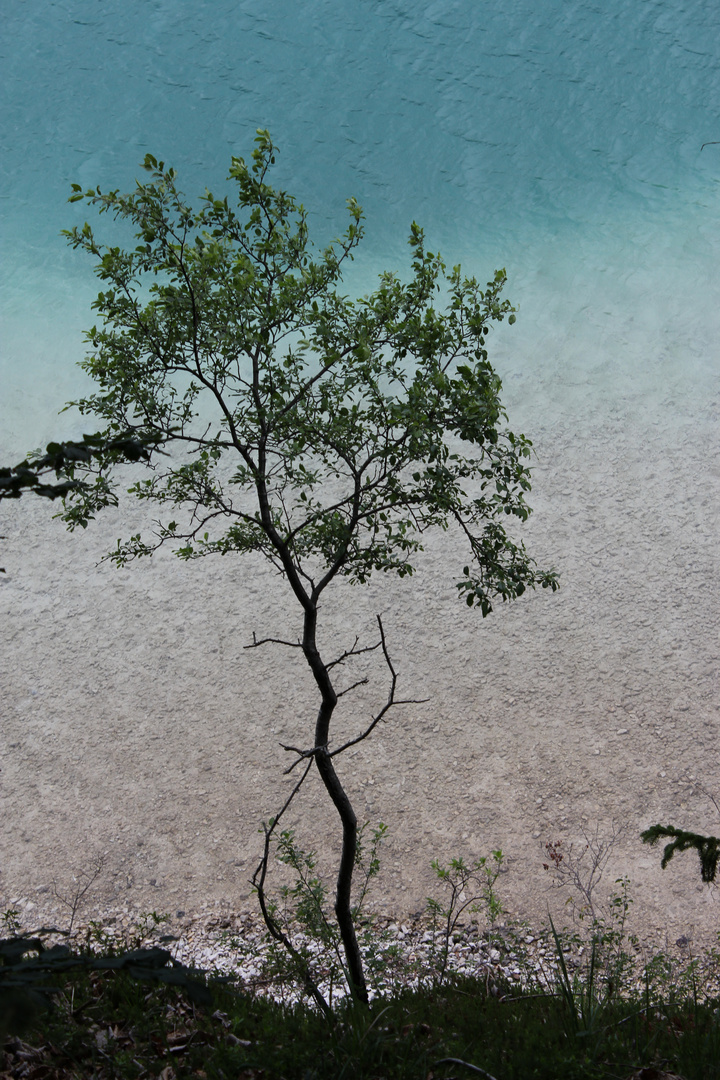 Am Fuschlsee