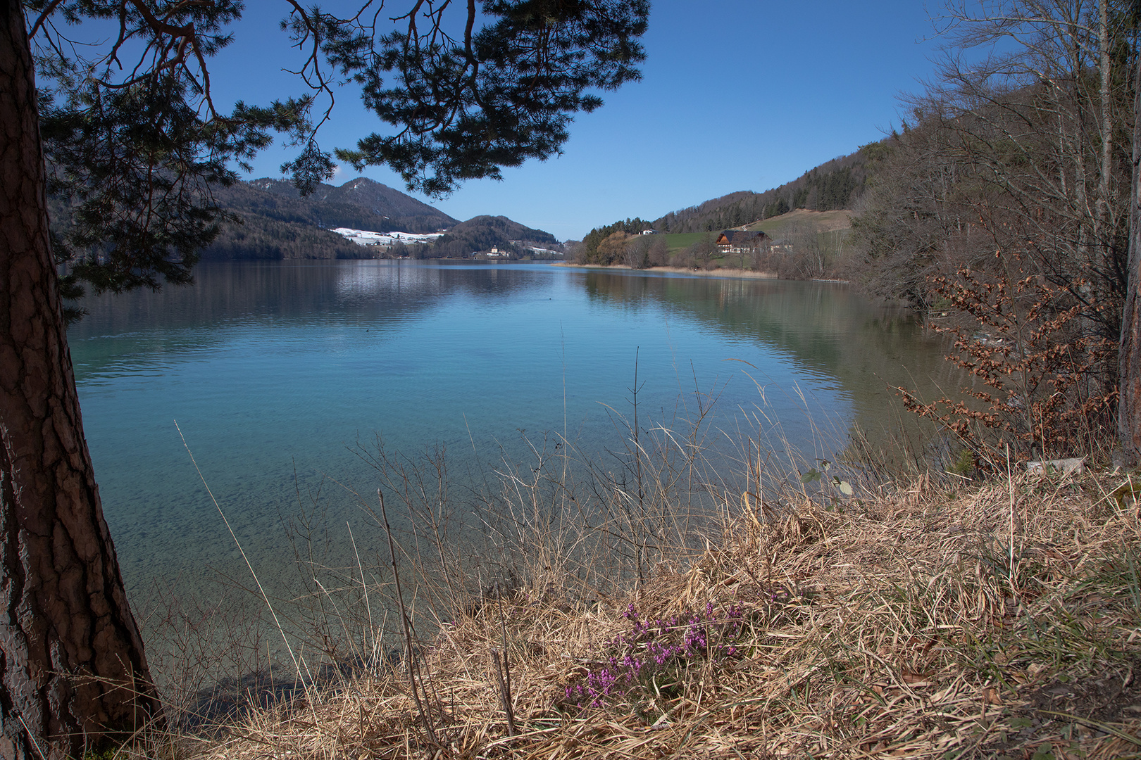 am Fuschlsee