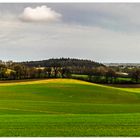 Am Fuß der Brohmer Berge II