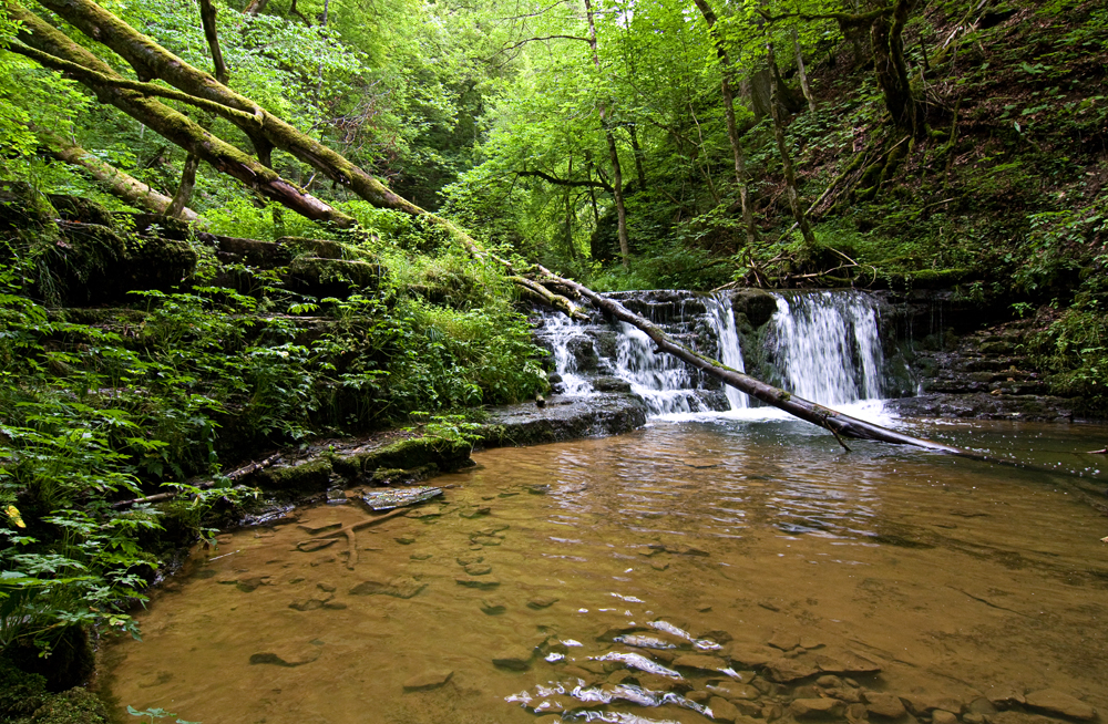 Am Fuß der Schlucht