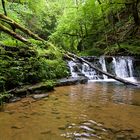 Am Fuß der Schlucht