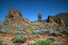 Am Fuss der Teide