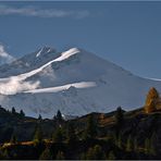 Am Fuß der weißen Berge