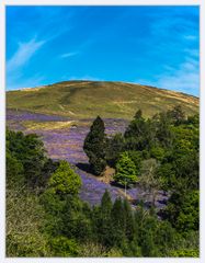 Am Fuß des blauen Berges