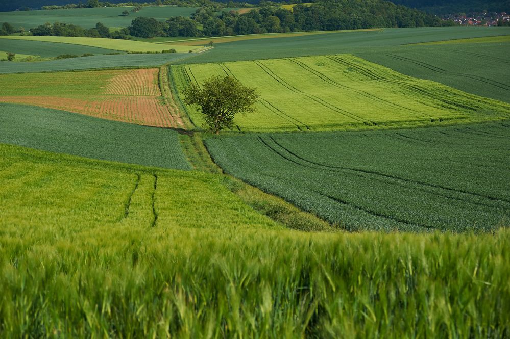 Am Fuß des Glauberg