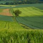 Am Fuß des Glauberg