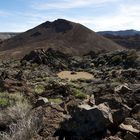 Am Fuß des Teide 1