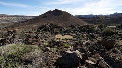 Am Fuß des Teide 1