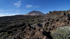 Am Fuß des Teide 3