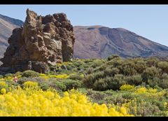 Am Fuß des Teide...