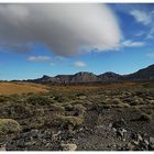 Am Fuß des Teide