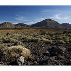 Am Fuß des Teide