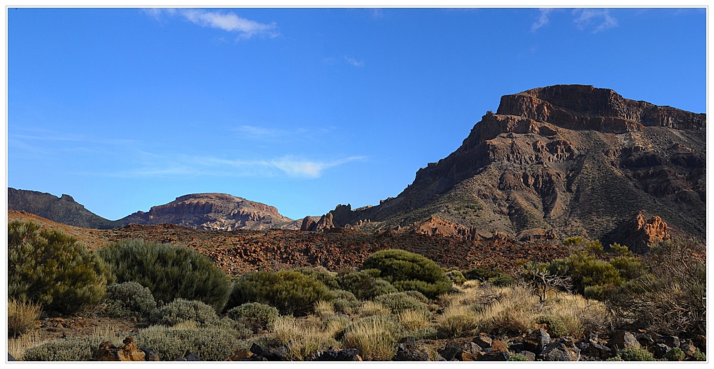 Am Fuß des Teide III