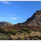 Am Fuß des Teide III