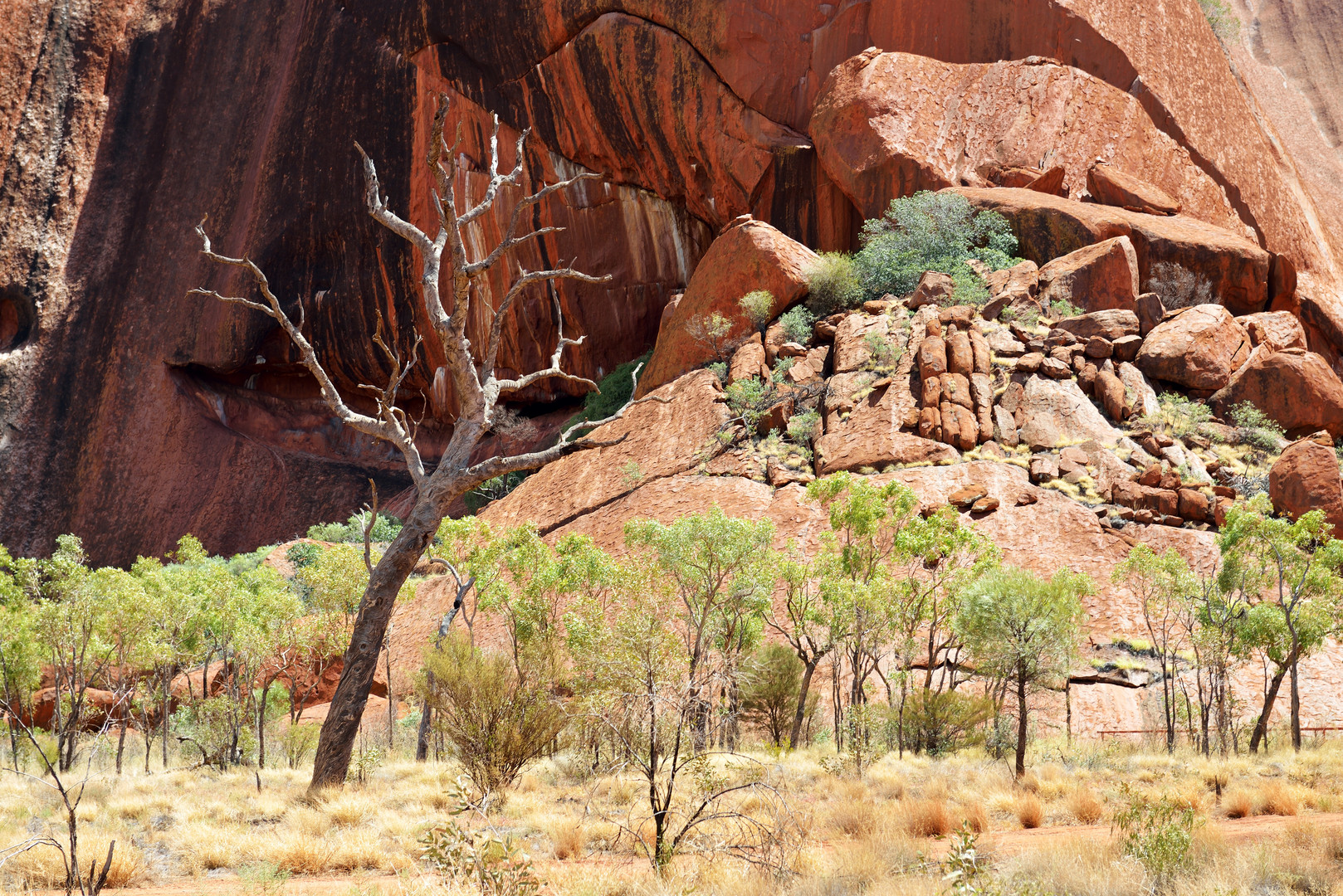 Am Fuß des Uluru 3