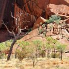 Am Fuß des Uluru 3