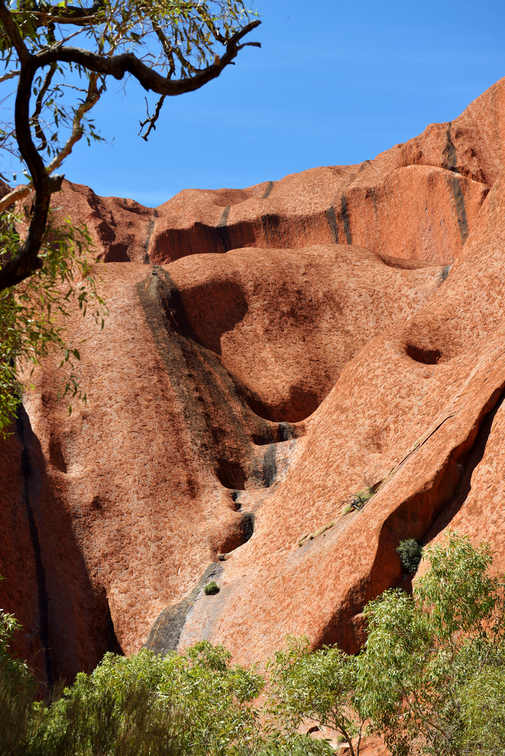 Am Fuß des Uluru 8