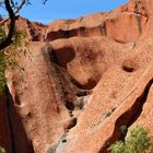 Am Fuß des Uluru 8