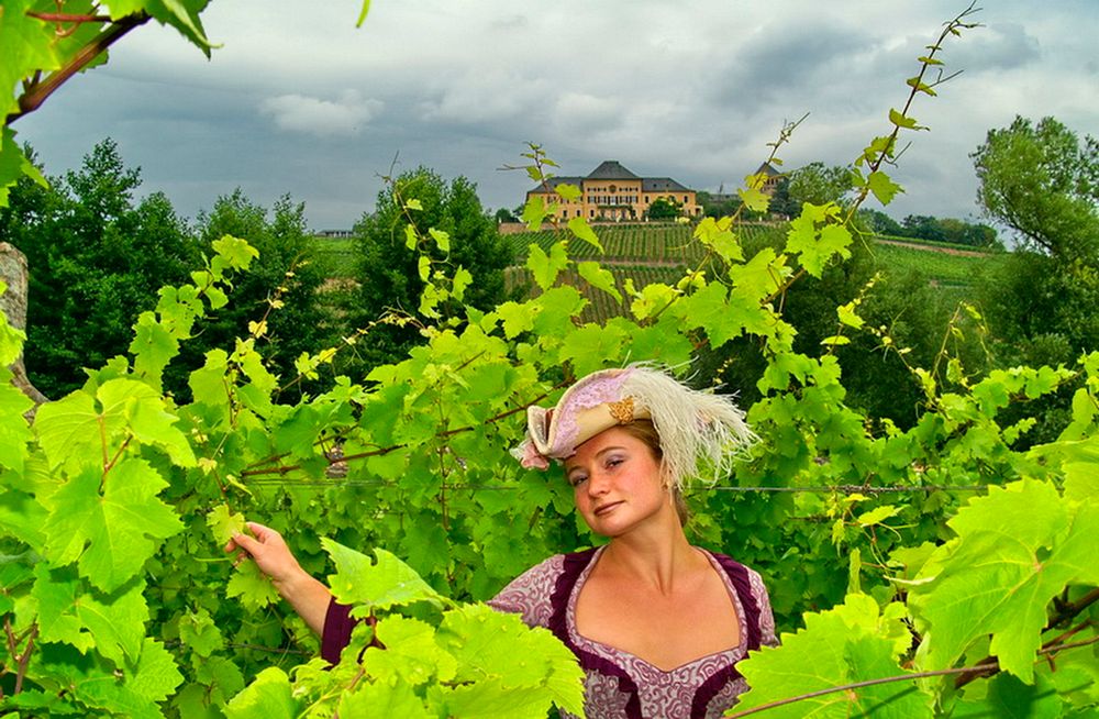 Am Fuß von Schloss Johannisberg