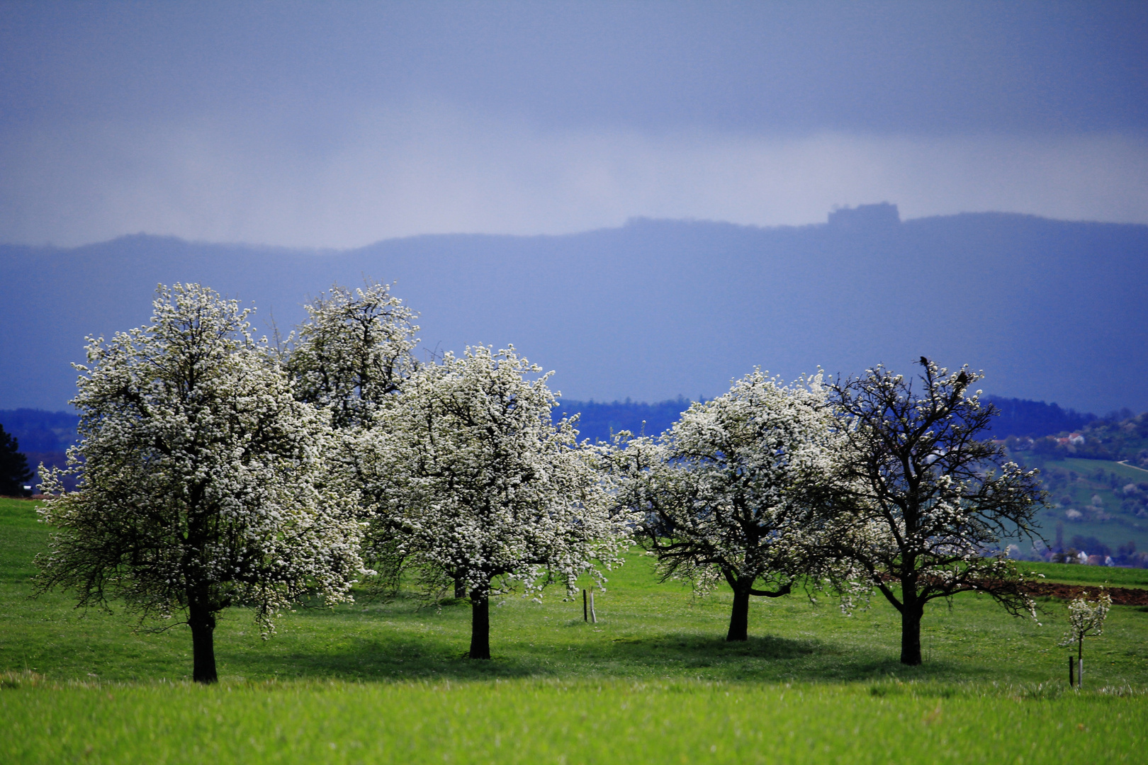 am Fuße der schwäbischen Alb