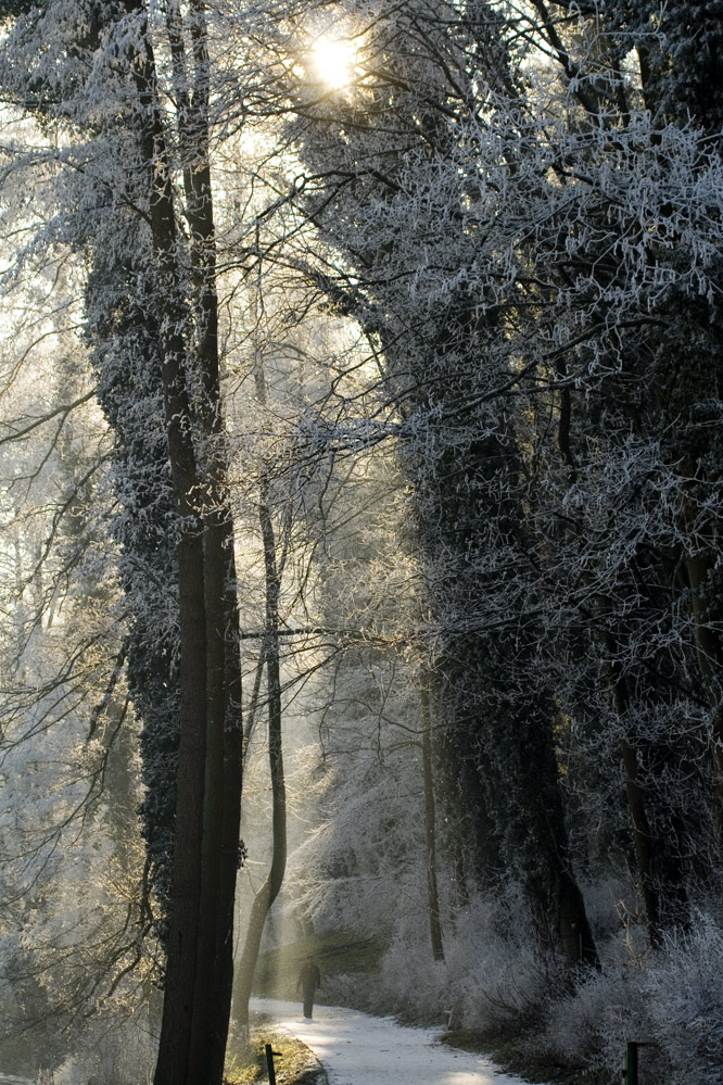 Am Fuße der Schwanenburg II am 23.12.2007