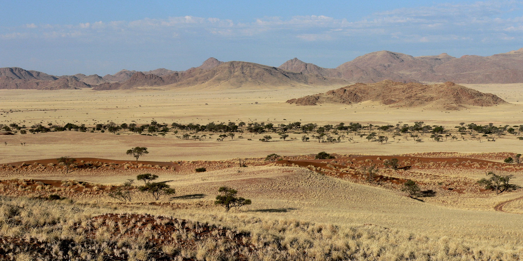 Am Fuße der "versteinerten" Dünen der Ur-Namib