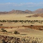 Am Fuße der "versteinerten" Dünen der Ur-Namib